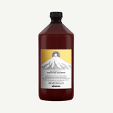 Davines NaturalTech PURIFYING Shampoo 1000ml | Anti Dandruff